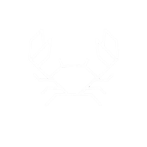 TavoxDetailing